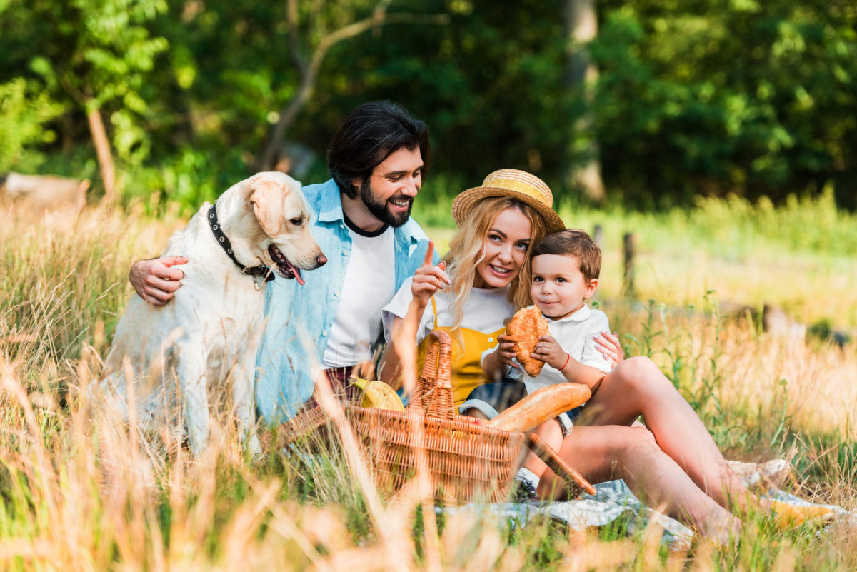 Family picnic with reusable tableware